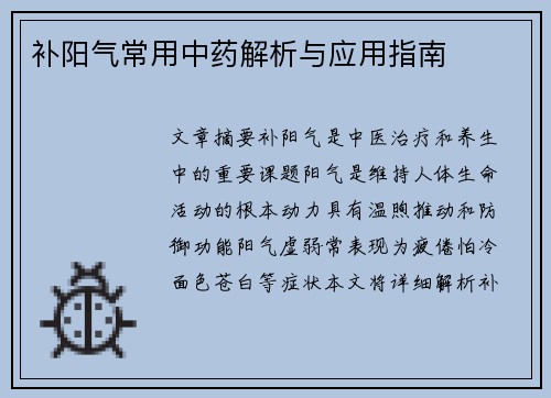 补阳气常用中药解析与应用指南